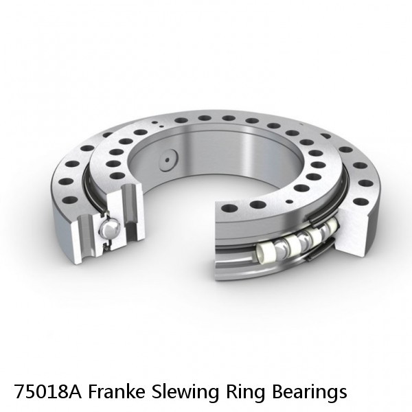 75018A Franke Slewing Ring Bearings