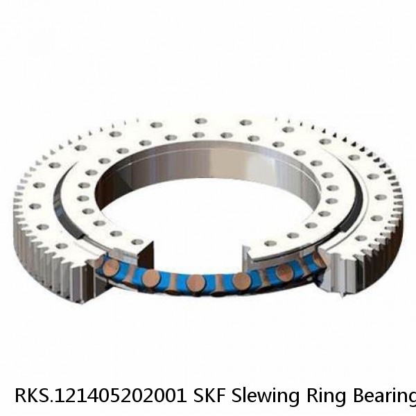 RKS.121405202001 SKF Slewing Ring Bearings