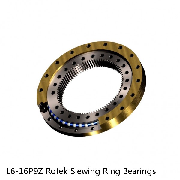 L6-16P9Z Rotek Slewing Ring Bearings