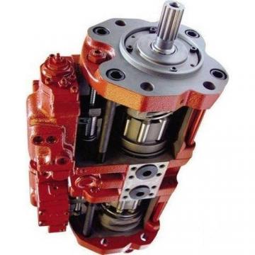 Case PW15V00018F3 Hydraulic Final Drive Motor