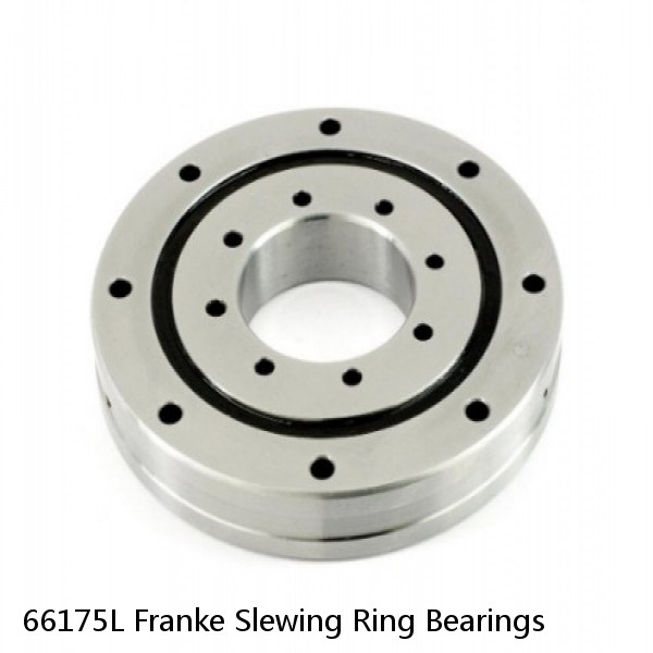 66175L Franke Slewing Ring Bearings #1 small image
