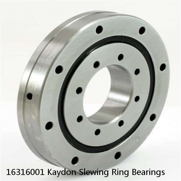 16316001 Kaydon Slewing Ring Bearings #1 small image
