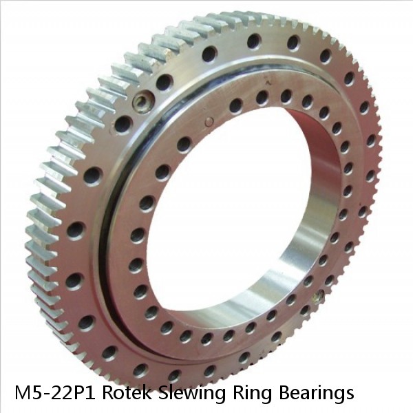 M5-22P1 Rotek Slewing Ring Bearings