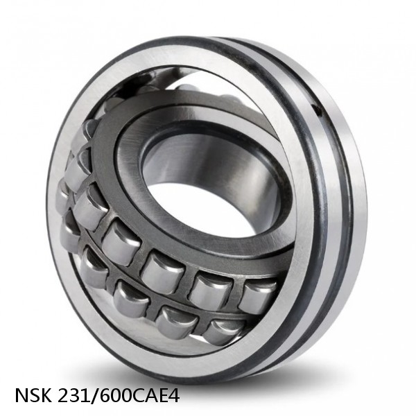 231/600CAE4 NSK Spherical Roller Bearing #1 image