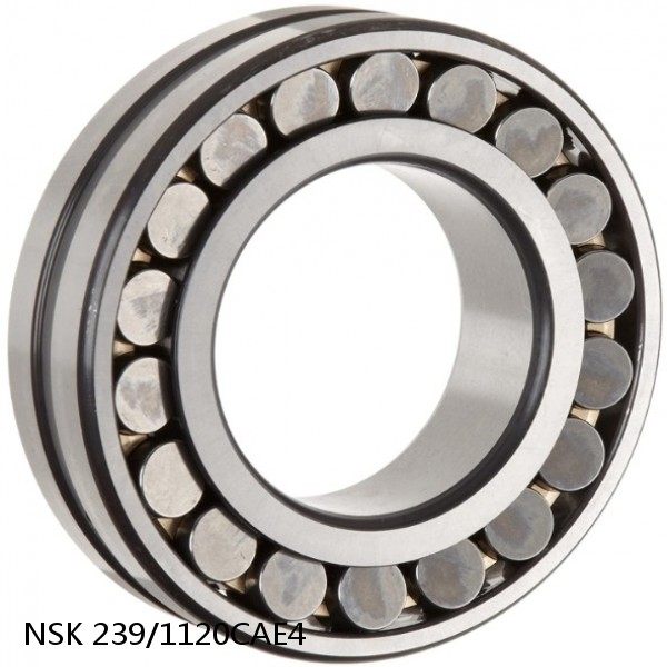 239/1120CAE4 NSK Spherical Roller Bearing #1 image