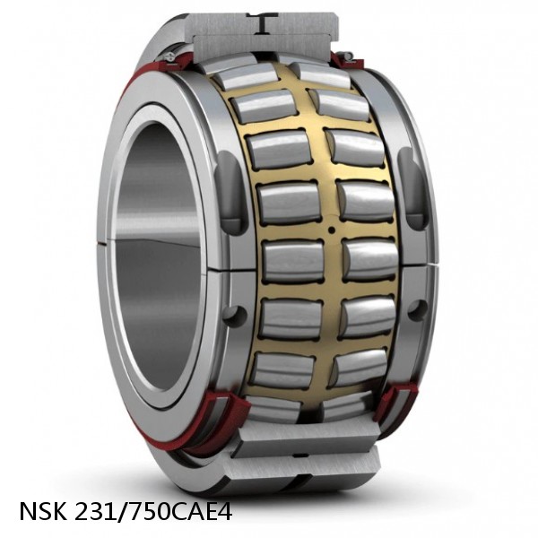 231/750CAE4 NSK Spherical Roller Bearing #1 image