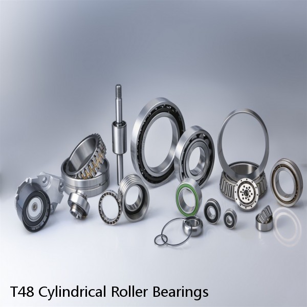 T48 Cylindrical Roller Bearings #1 image