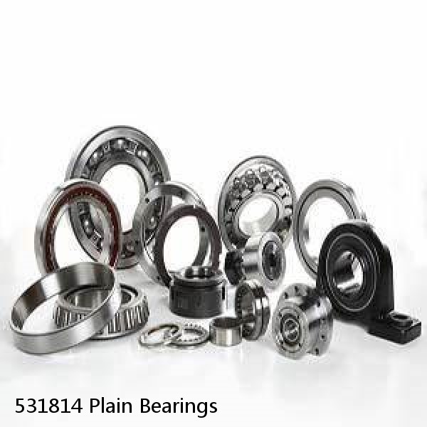 531814 Plain Bearings #1 image