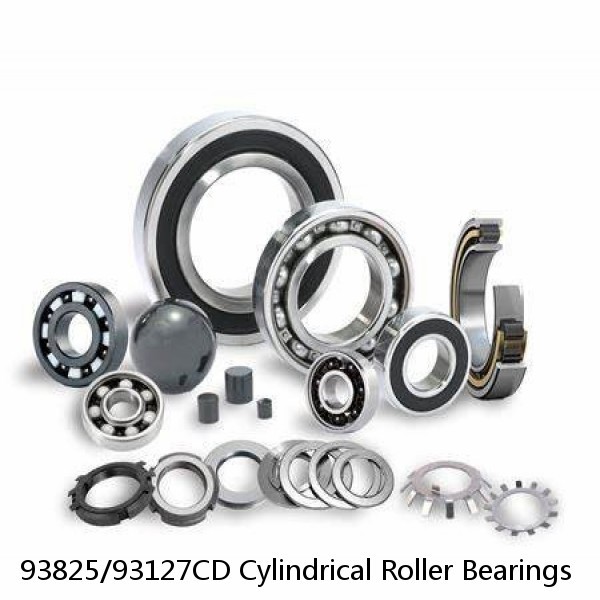 93825/93127CD Cylindrical Roller Bearings #1 image