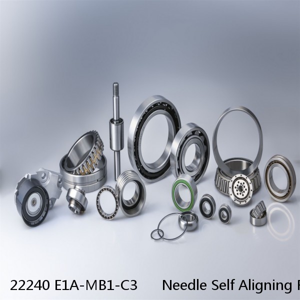 22240 E1A-MB1-C3      Needle Self Aligning Roller Bearings #1 image