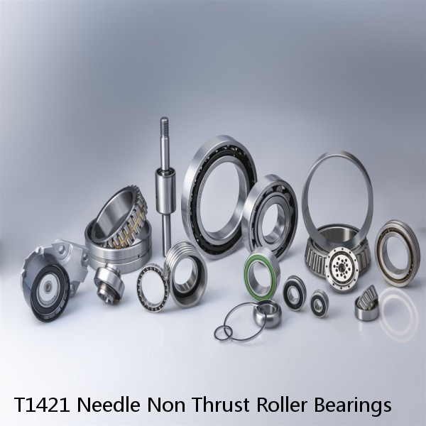 T1421 Needle Non Thrust Roller Bearings #1 image