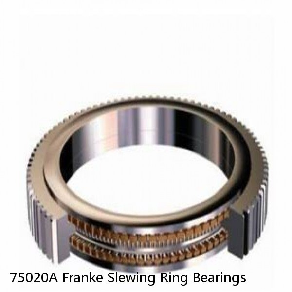 75020A Franke Slewing Ring Bearings #1 image