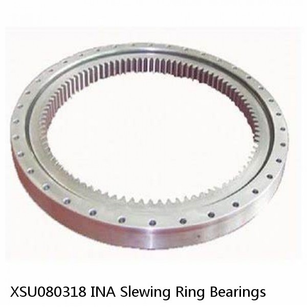 XSU080318 INA Slewing Ring Bearings #1 image