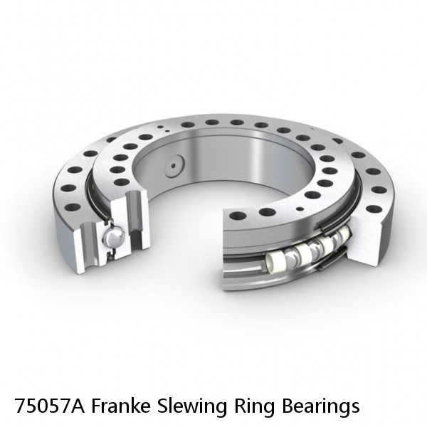 75057A Franke Slewing Ring Bearings #1 image