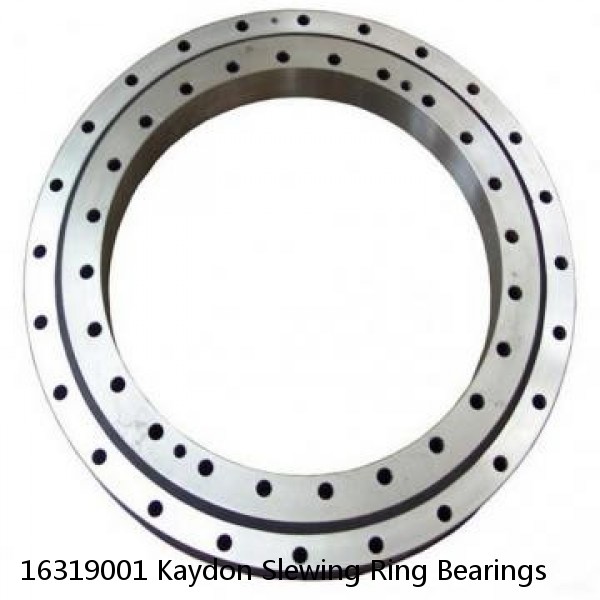 16319001 Kaydon Slewing Ring Bearings #1 image