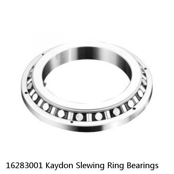 16283001 Kaydon Slewing Ring Bearings #1 image