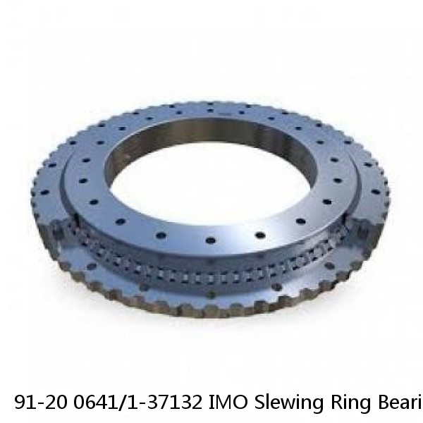 91-20 0641/1-37132 IMO Slewing Ring Bearings #1 image