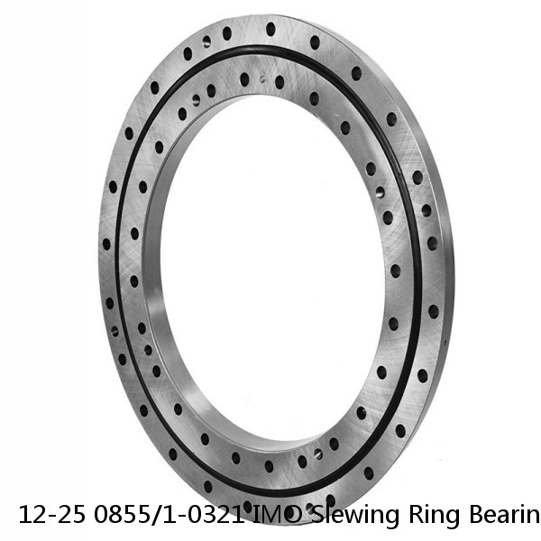 12-25 0855/1-0321 IMO Slewing Ring Bearings #1 image