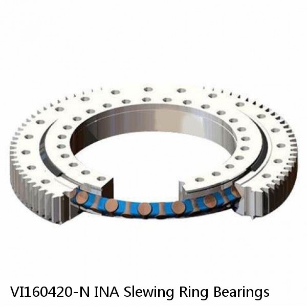 VI160420-N INA Slewing Ring Bearings #1 image