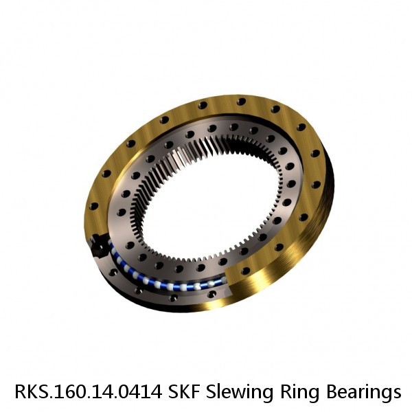 RKS.160.14.0414 SKF Slewing Ring Bearings #1 image