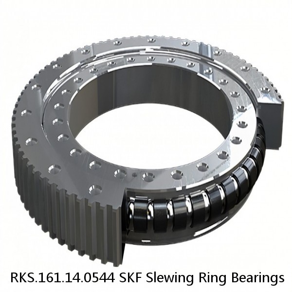 RKS.161.14.0544 SKF Slewing Ring Bearings #1 image