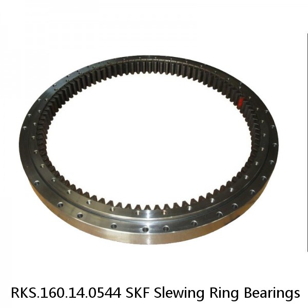 RKS.160.14.0544 SKF Slewing Ring Bearings #1 image