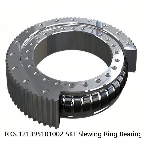 RKS.121395101002 SKF Slewing Ring Bearings #1 image