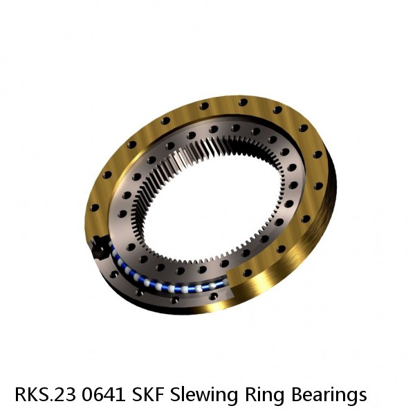 RKS.23 0641 SKF Slewing Ring Bearings #1 image