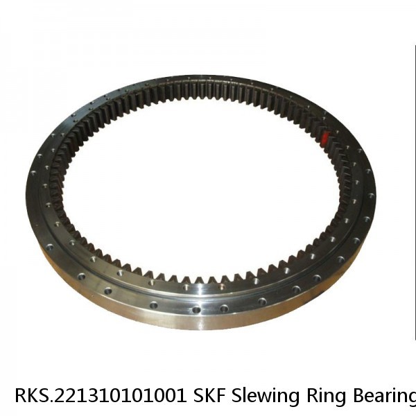 RKS.221310101001 SKF Slewing Ring Bearings #1 image