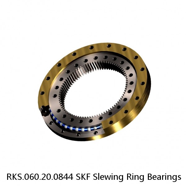 RKS.060.20.0844 SKF Slewing Ring Bearings #1 image