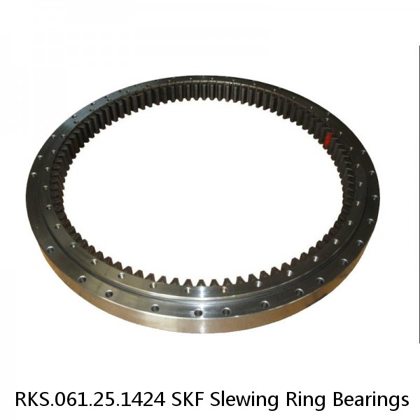 RKS.061.25.1424 SKF Slewing Ring Bearings #1 image