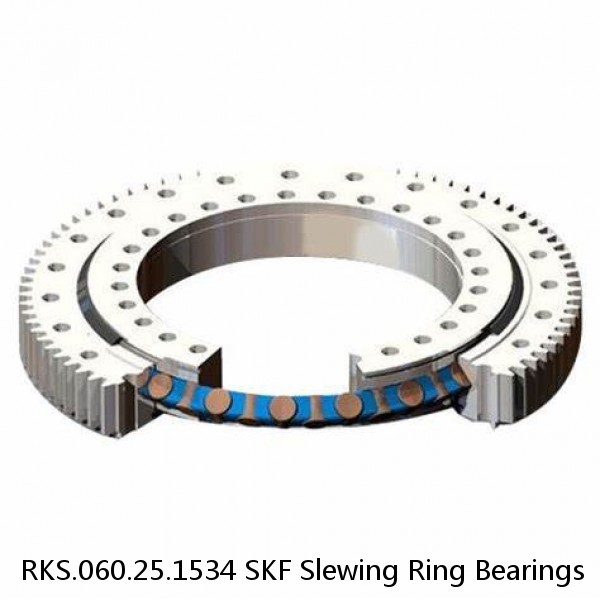 RKS.060.25.1534 SKF Slewing Ring Bearings #1 image