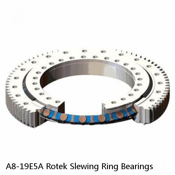 A8-19E5A Rotek Slewing Ring Bearings #1 image