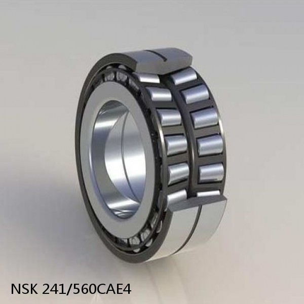 241/560CAE4 NSK Spherical Roller Bearing #1 image