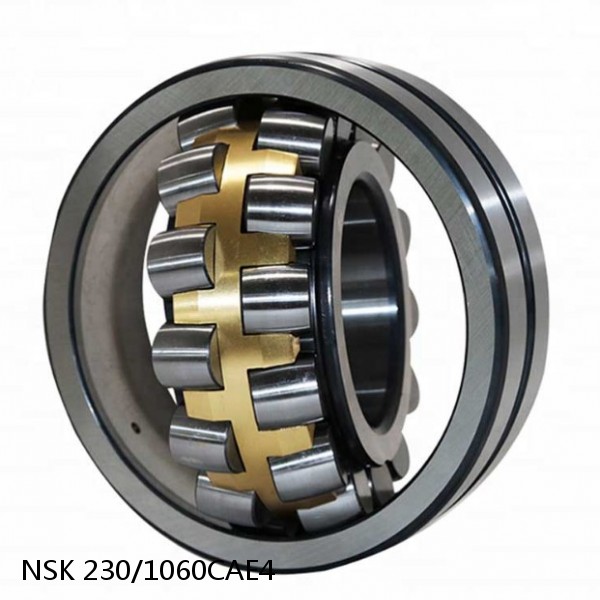 230/1060CAE4 NSK Spherical Roller Bearing #1 image