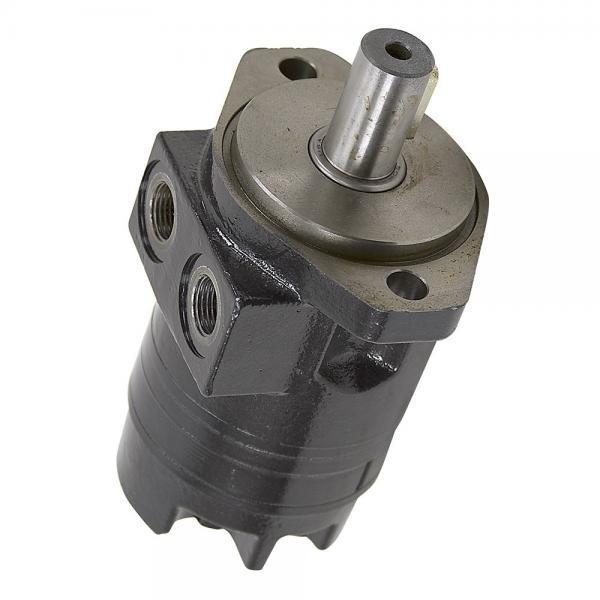 Case IH 87661746R Reman Hydraulic Final Drive Motor #1 image