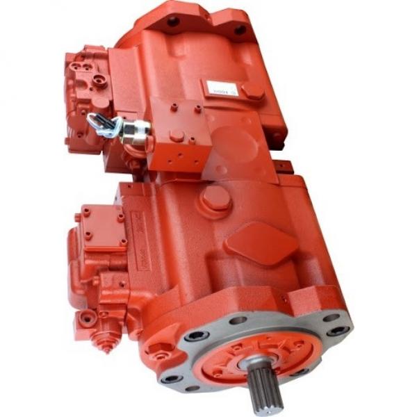 Kubota RX301 Hydraulic Final Drive Motor #1 image