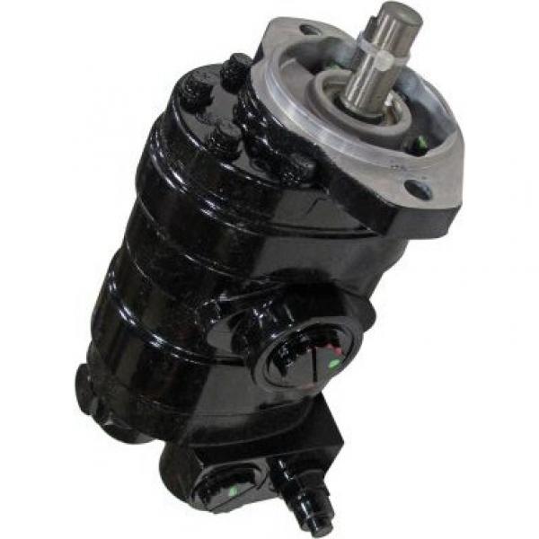 Gleaner 71412498 Reman Hydraulic Final Drive Motor #1 image